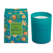 gin botanicals candela prof ed