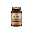 solgar lactase masticabile 30 tavolette - integratore per il lattosio