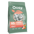 oasy dry cat ad salmone 300g