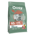 oasy dry cat ad ster agnel300g
