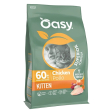 oasy dry cat kitten pollo1,5kg