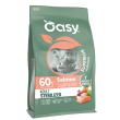 oasy dry cat ad ster salmon6kg