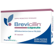 brevicillin 20 capsule fr