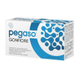 pegaso - gonfiore fermenti lattici confezione 10 flaconi