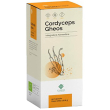 cordyceps 90 cps gheos