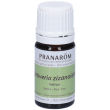 pranarom olio essenziale vetiver radice 5 ml essenziale