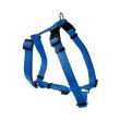 cam pettorina h ny f026/02 blu chiaro 18mm circ 52cm minsan 970281150