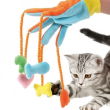 gioco gatto colorglove