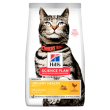 sp feline ad adt uri&hbc c1,5k
