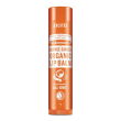 dr. bronner's balsamo labbra bio arancia & zenzero 4 g protezione per