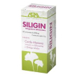 siligin 60cpr