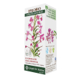 epilobio estratto integrale 200 ml giorgini