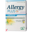 allergy plus 60 capsule 500 mg