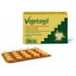 vegetargil argilla verde integratore per problemi gastrointestinali