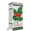 rosa canina estratto integrale 200 ml