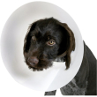 proficol - collare elisabettiano per cani trasparente misura xl 25 cm
