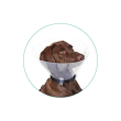 proficol - collare elisabettiano per cani trasparente misura taglia xxxl 35 cm