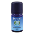 eucalipto globulus olio es10ml