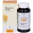 polyporus gheos capsule 90 pz