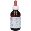 promopharma betulla semi gemmoderivato gocce 100 ml