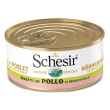 schesir cat pollo 70g