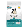 schesir dog puppy pollo m 3kg