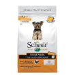 schesir dog small maint chicken 2kg 2310 minsan 971079847
