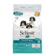 schesir dog small puppy chicken 2kg 2316 minsan 971079886