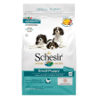 schesir dog puppy pollo s 2kg