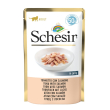 schesir gatto filetti jelly tonnetto salmone 50gr (bustina)