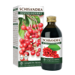 schisandra estratto integrale 200 ml ml soluzione orale