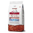 monge mini adult agnel/ris/pat