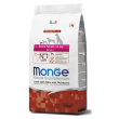 monge extra small ad agn/ri/pa