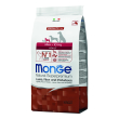 monge dog adult mini agnello 2