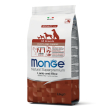 monge dog puppy all breeds agn