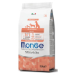 monge dog adult all breeds sal