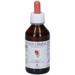 promopharma uva ursina soluzione idroalcolica gocce 100 ml orali