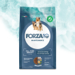 f10 dog allb pesce/ri 2kg