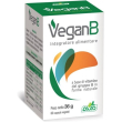 vegan-b 60 capsule