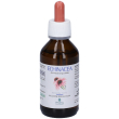 promopharma echinacea soluzione idroalcolica gocce 100 ml orali