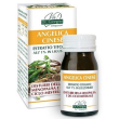 angelica cinese estr tit60past