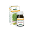 equiseto estratto tit 60 past