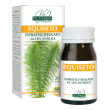 dr giorgini equiseto integratore per pelle e capelli 60 pastiglie