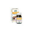 garcinia cambogia dr giorgini - dr. giorgini