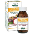 descrizione integratore alimentare di estratto di frutti di garcinia cambogia, fonte ricca di acido