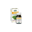 ginkgo biloba estr tit 60past
