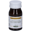 ginkgo biloba estratto titolato 60 pastiglie pz