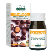 dr giorgini guarana' integratore per l'energia 60 pastiglie