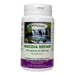 mucosa repair 60cps