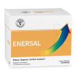 lfp enersal 36bust
